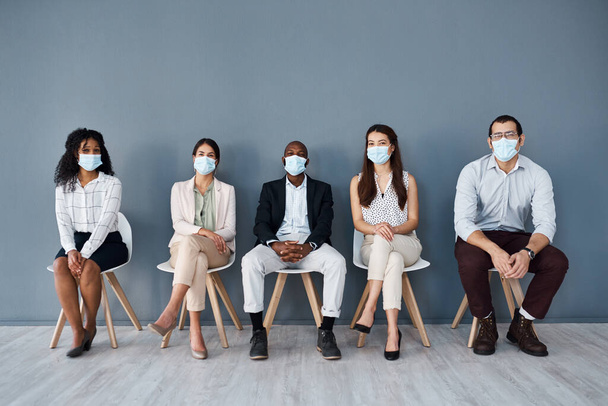 The precautions we take now will ensure our safety and success. Portrait of a group of businesspeople wearing face masks while sitting in line against a grey background. - 写真・画像