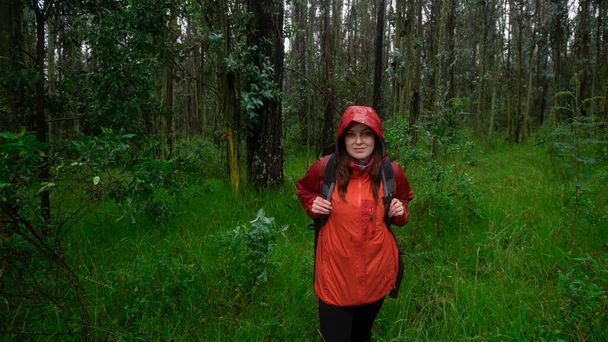 Vue de face d'une femme hispanique avec un sac à dos noir et une veste imperméable rouge marchant seule sur un sentier boueux à travers une forêt pendant la journée - Photo, image