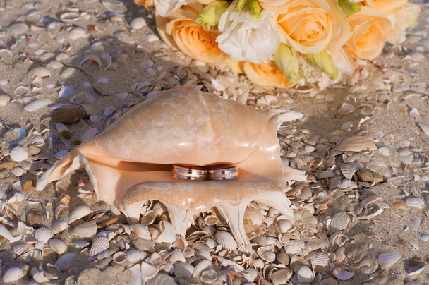 Wedding rings in a shell on the beach - Foto, Bild