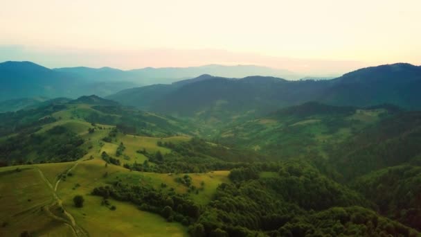 Aerial view of the endless lush pastures of the Carpathian expanses and agricultural land. Cultivated agricultural field. Rural mountain landscape at sunset. Ukraine. - Footage, Video