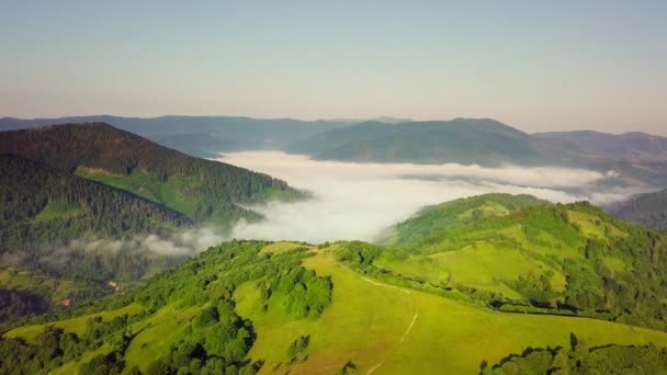 Αεροφωτογραφία των ατελείωτων καταπράσινων βοσκοτόπων των Καρπαθίων επεκτάσεων και της γεωργικής γης. Καλλιεργούμενο γεωργικό τομέα. Αγροτικό ορεινό τοπίο στο ηλιοβασίλεμα. Ουκρανία. - Πλάνα, βίντεο