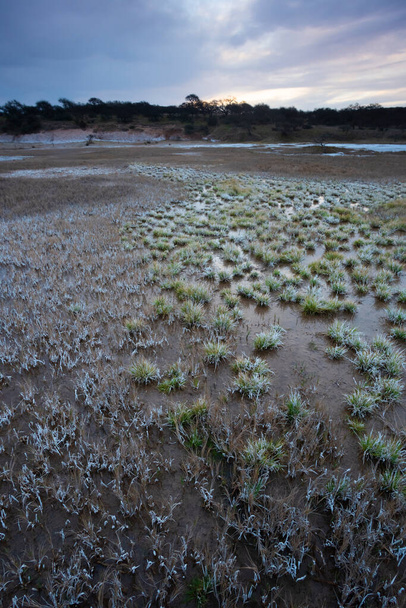 Сальтпетер на полу лагуны в полупустыне, провинция Ла-Пампа, Патагония, Аргентина. - Фото, изображение