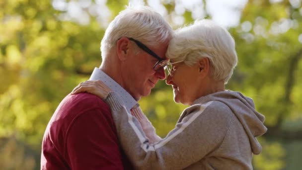 Senior verheiratete kaukasische Paar liebevoll und umarmen einander in einem herbstlichen Park. - Filmmaterial, Video