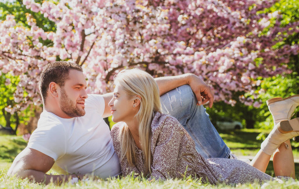 Outdoor portrait of young lovers couple near sakura. Young couple in love. - Foto, Imagem