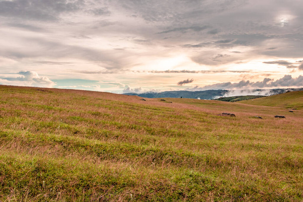 сільська жовта трава гора з хмарним небом вранці
 - Фото, зображення