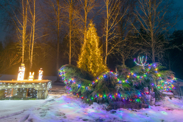 Paisaje nocturno con patio decorado con motivo navideño, decoración ligera - Foto, Imagen
