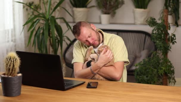 Ο άνθρωπος εργάζεται σε ένα μαύρο σημειωματάριο, φορητό υπολογιστή και γάτα που βρίσκεται στο χέρι του, εργασίας από το σπίτι, Freelancer τηλεχειριστήριο εργασίας στο σπίτι, πράσινο σπίτι, στο χώρο εργασίας στο σπίτι. - Πλάνα, βίντεο