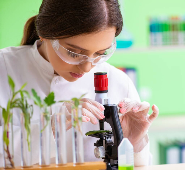 Kaunis naispuolinen biotekniikan tutkija kemisti työskentelee laboratoriossa - Valokuva, kuva