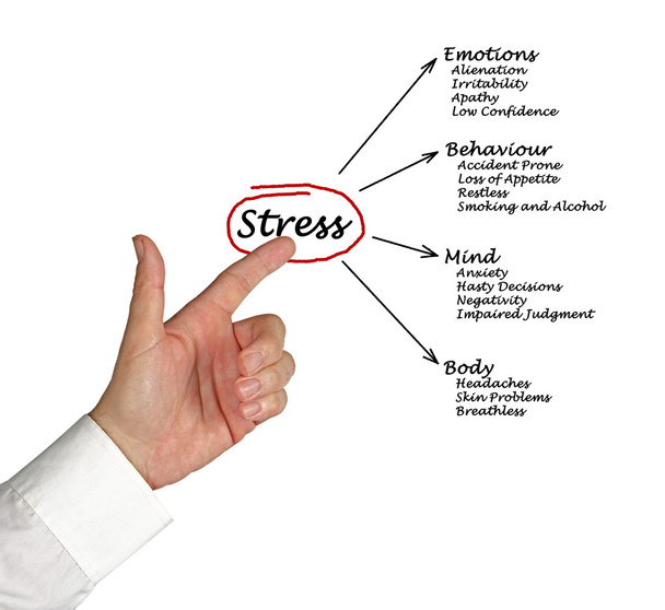 Diagrama das consequências do stress
 - Foto, Imagem