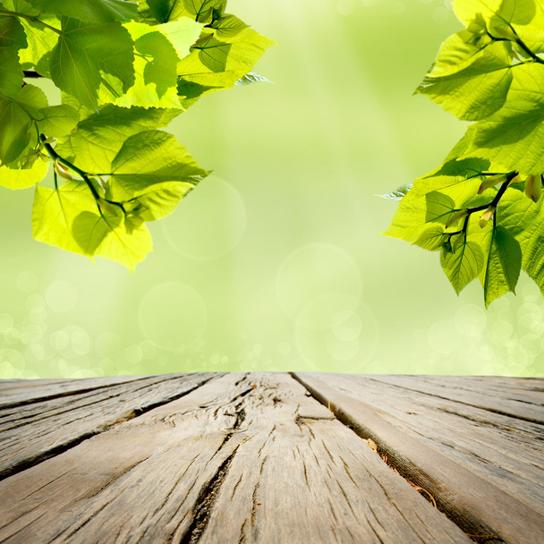 drewniany stół z naturalne tło zielonydoğal yeşil arka plana sahip ahşap tablo - Zdjęcie, obraz