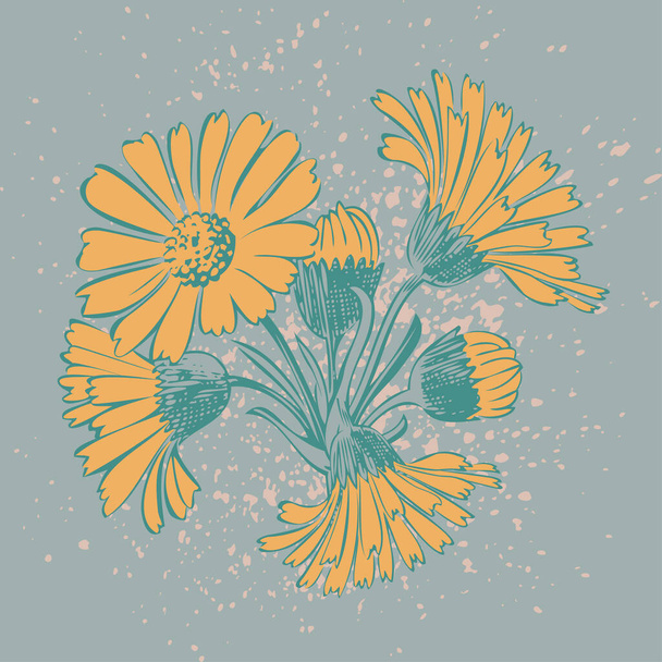 Mooi gearrangeerd bos bloemen. Getekend Chrysant bloemen artistieke vector illustratie. Floral botanische bruiloft ornament trendy patroon ontwerp met aquarel spray. Decoratieve achtergrond - Vector, afbeelding