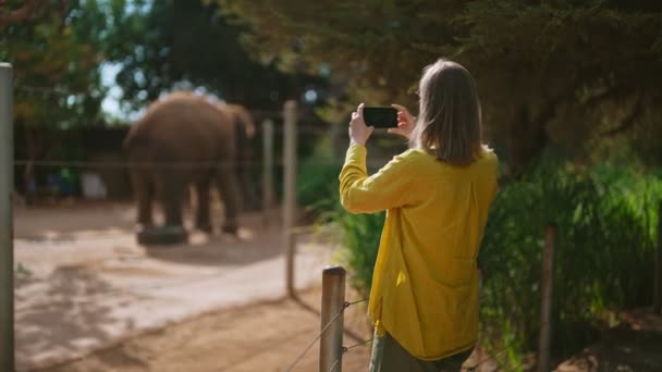 Kobieta fotografująca słonia w zoo narodowym. - Materiał filmowy, wideo