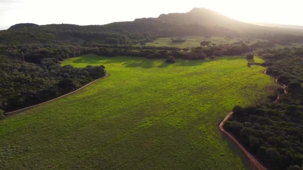Yeşil orman üzerinde hava aracı görüntüsü. Gün batımında dağ manzarası. Altın saat görünümü - Video, Çekim