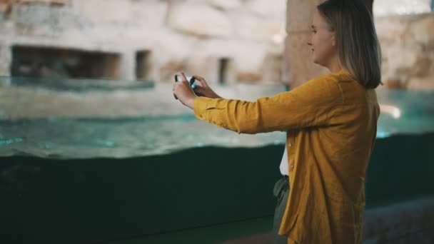 Женщина фотографирует плавающих пингвинов в зоопарке. - Кадры, видео