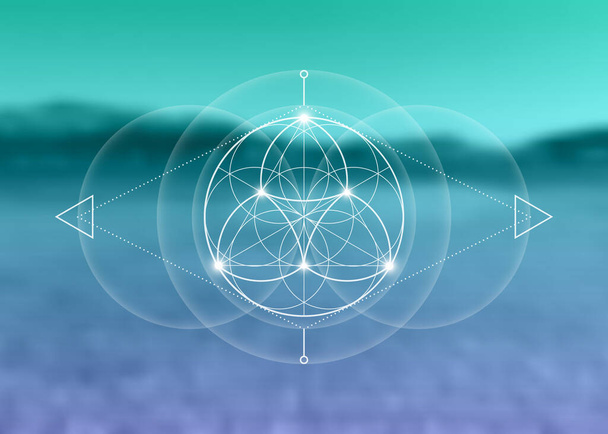 Sacred Geometry, Flower of Life, lotus flower mandala. White logo Symbol of Harmony and Balance, Glowing Geometrical Ornament, yoga relax, vector isolated on blurred natural background  - Vector, Image