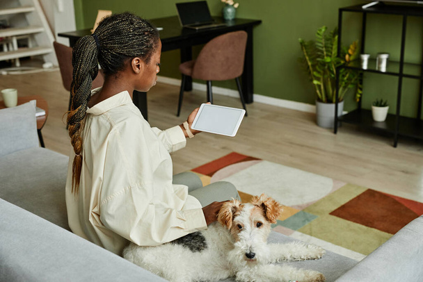 Vista posterior de la joven mujer negra usando tableta y perro acariciando mientras se relaja en el sofá en el interior del hogar moderno - Foto, Imagen