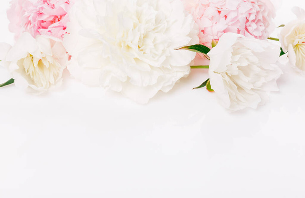 Romantic banner, delicate white peonies flowers close-up. Fragrant pink petals - 写真・画像