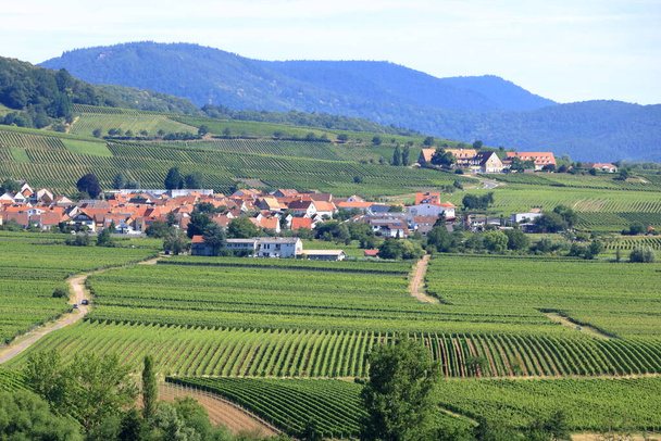 Vista desde los viñedos a Klingenmuenster en la ruta del vino alemán en el palatinado - Foto, Imagen