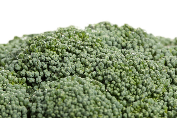 Macro shot of the flower head of a fresh, organic broccoli cabbage with copy space. Isolated on white. Shallow depth of field - Photo, Image