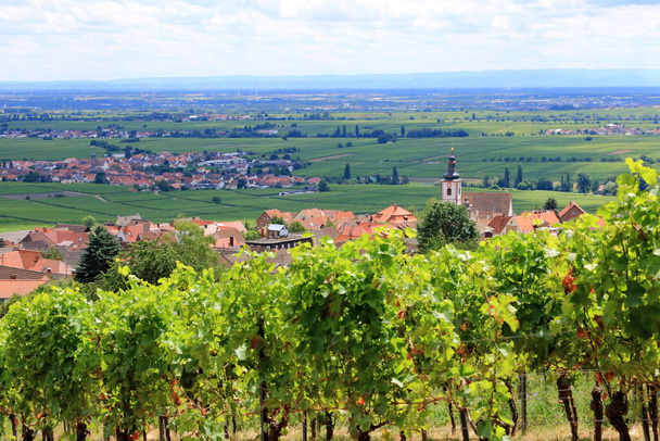 View from vineyards around the villages rhodt unter rietburg, Hainfeld, Burrweiler, Weyher, Edenkoben, Edesheim on the german wine route in the palatinate - Foto, Imagem