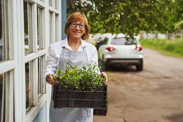 Cheerful senior female looking after plants in village - Фото, зображення