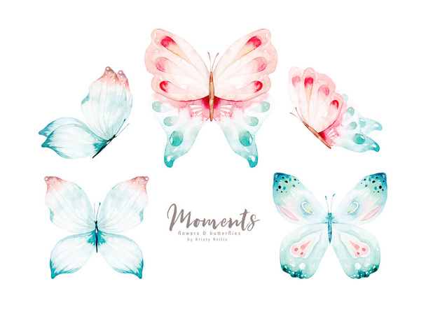 Akvarell színes pillangók, elszigetelt fehér háttér. kék, sárga, rózsaszín és piros pillangó tavaszi illusztráció. - Fotó, kép