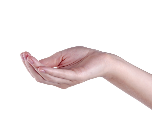 Рука жінки ізольована на білому тлі
 - Фото, зображення