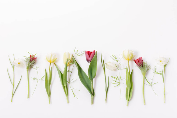 Voorjaar boeket van kleine bloemen tulp, bloemstuk op witte achtergrond. - Foto, afbeelding