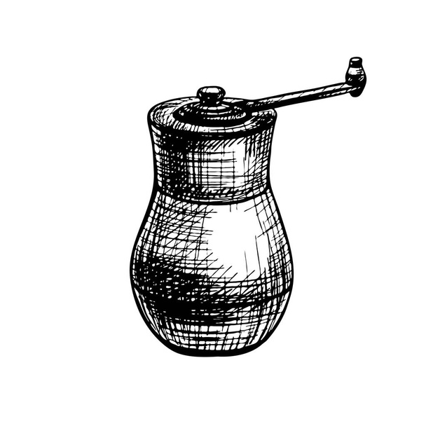 Wood pepper mill. Vector vintage hatching color illustration. Isolated on white - Διάνυσμα, εικόνα