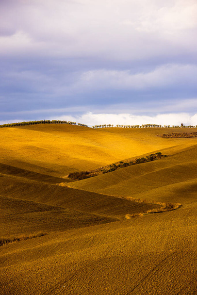The colorful hills of the Tuscan landscape in autumn - Foto, imagen