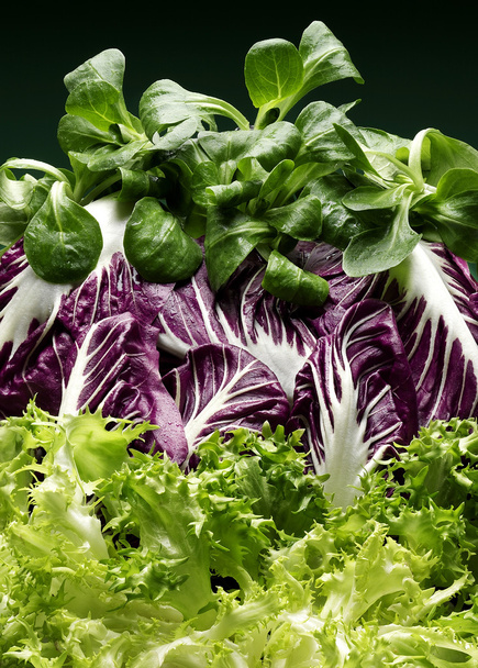 Chicory salad - Photo, Image