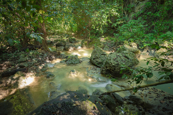 Mountain runnel between huge rocks in weald. Mountain rill in morass with tropical plants and fresh herbs. Wildlife in exotic wildwood with river stones which have differents size and colors. - Фото, изображение