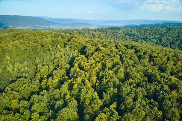Aerial view of mountain hills covered with dense green lush woods on bright summer day - Foto, Imagem
