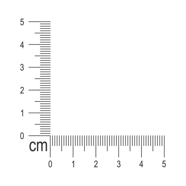 Plantilla de regla de esquina de 5 centímetros. Herramienta de medición con líneas verticales y horizontales con marcaje y números de centímetros y milímetros - Vector, Imagen