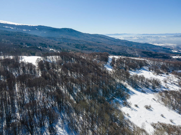 Aerial Winter view of Vitosha Mountain at Kopitoto area, Sofia City Region, Bulgaria - Фото, изображение