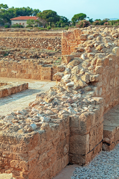 Mosaïques anciennes dans le site archéologique, Paphos, Chypre
 - Photo, image