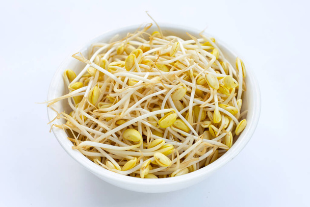 Fresh soybean sprouts for cooking. - Photo, Image