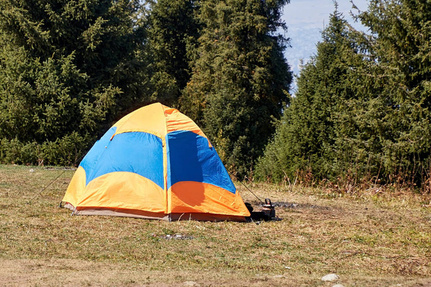 tourist tents set up among the fir trees on the mountainside - Photo, Image
