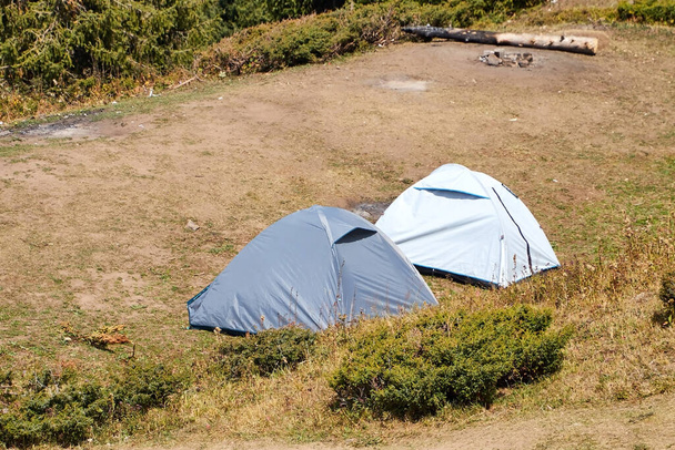 tendas turísticas montadas entre os abetos na encosta da montanha - Foto, Imagem