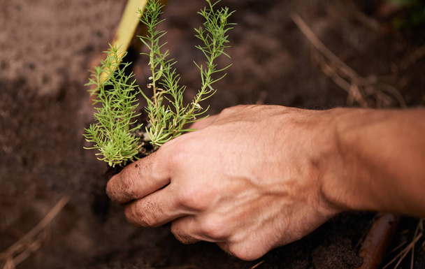 Planting new life. Cropped shot of a manamp039s hand planting a plant. - Photo, Image
