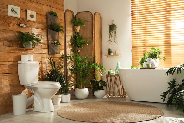 Stylish bathroom interior with toilet bowl and green plants - 写真・画像