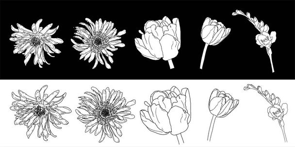 Set di fiori primaverili. Fiori primaverili disegnati a mano linea art. Isolato su sfondo bianco. - Vettoriali, immagini