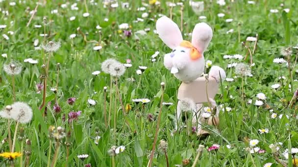 Biały królik marionetka na zielonej trawie - Materiał filmowy, wideo
