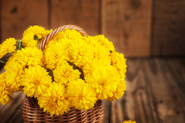 Beautiful bouquet of yellow chrysanthemums flowers in wicker ba - Foto, Imagen