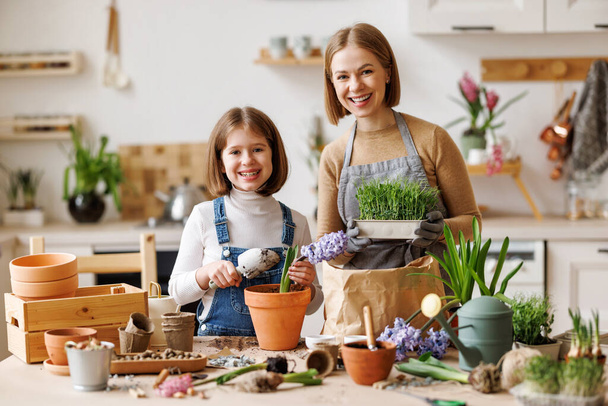 Merry mom and kid with potted hyacinth flowers smiling and looking at camera while doing home gardening in kitchen at home - Photo, Image
