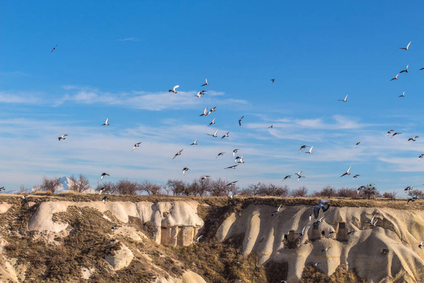 Repülő galambok a vulkáni szikláknál és kőzetképződményeknél Cappadociában, Anatóliában. Törökország - Fotó, kép