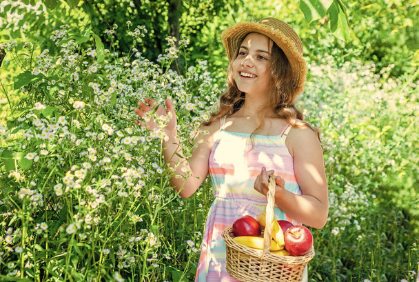 Cute child with basket fruits nature background, picnic concept - 写真・画像