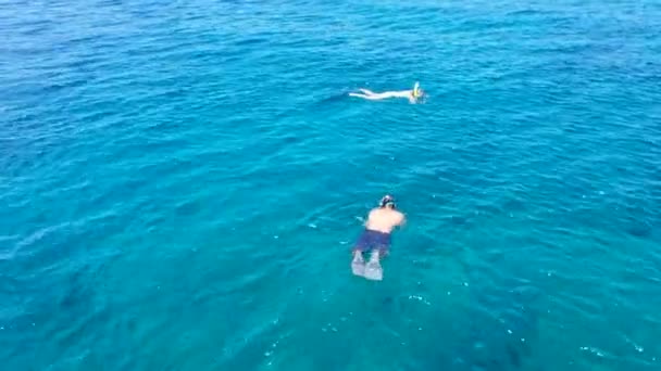 Vista aérea del hombre y la mujer nadando y buceando con máscaras y aletas en mar claro - Imágenes, Vídeo