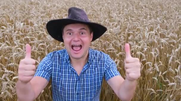 Gelukkige boer op een tarweveld, hij laat duimen zien. Concept voor biologische tarwe, agribusiness - Video
