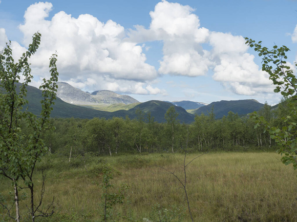 Splendido paesaggio settentrionale paesaggio artico, tundra in Lapponia svedese con verdi colline e montagne e foresta di betulle a Padjelantaleden sentiero escursionistico. Giorno d'estate, cielo blu, nuvole bianche - Foto, immagini